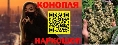 амф Новозыбков
