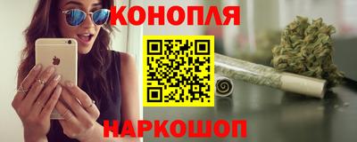 амф Новозыбков