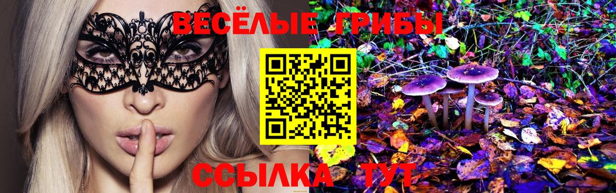 Псилоцибиновые грибы Psilocybe  Галлюциногенные грибы GOLDEN TEACHER  Сургут  Вход с VPN 